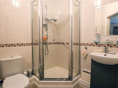 Picture 10